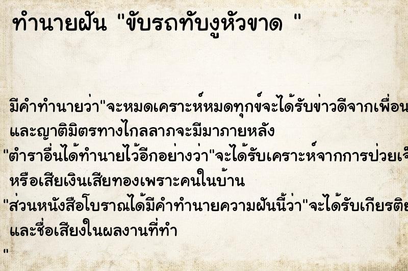 ทำนายฝัน ขับรถทับงูหัวขาด 